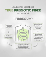 FEED-FIBER-3